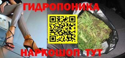 PSILOCYBIN Можга