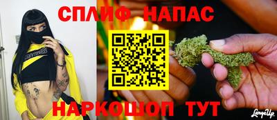 ECSTASY Моздок